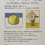 IMG_1195.jpeg